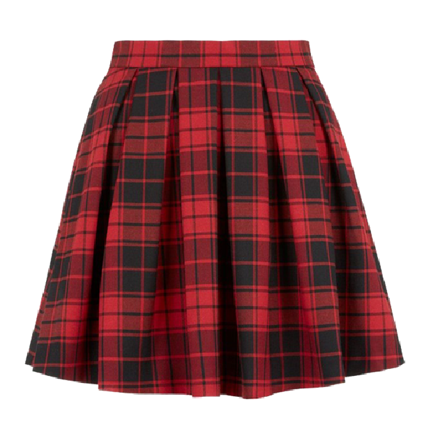 Pleated Mini Skirt